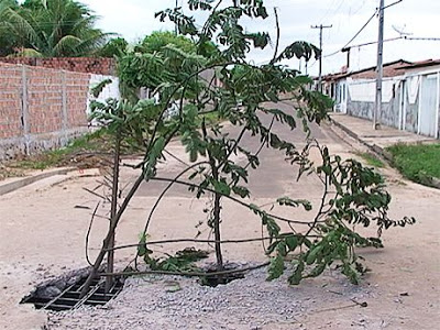 Metas da Prefeitura de Bacabal para 2010