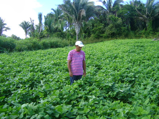 Prefeitura de Bacabal inicia cadastramento no Programa de Aquisição de Alimentos