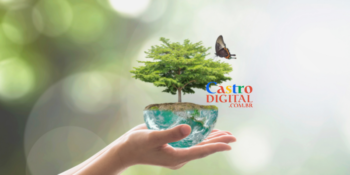 8 cursos de pós-graduação na área de meio ambiente