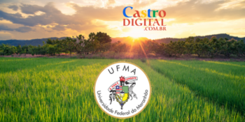 UFMA abre pós-graduação grátis na área Agrícola – Edital 87/2021